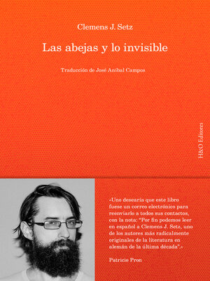 Las abejas y lo invisible - ebook